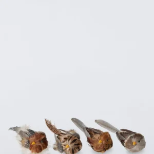 John Lewis Woodland Birds Tree Decorations, Box of 4